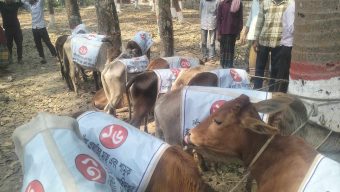 বাছুরে ওজন কম, উদ্বোধন না করে ফিরে গেলেন ইউএনও