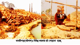 বানারীপাড়ায় অবৈধ ইটভাটায় পুড়ছে কাঠ ও তুলছে নদী তীরের মাটি!