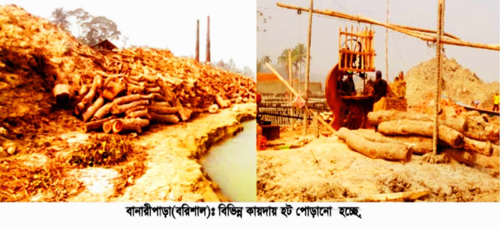 বানারীপাড়ায় অবৈধ ইটভাটায় পুড়ছে কাঠ ও তুলছে নদী তীরের মাটি!