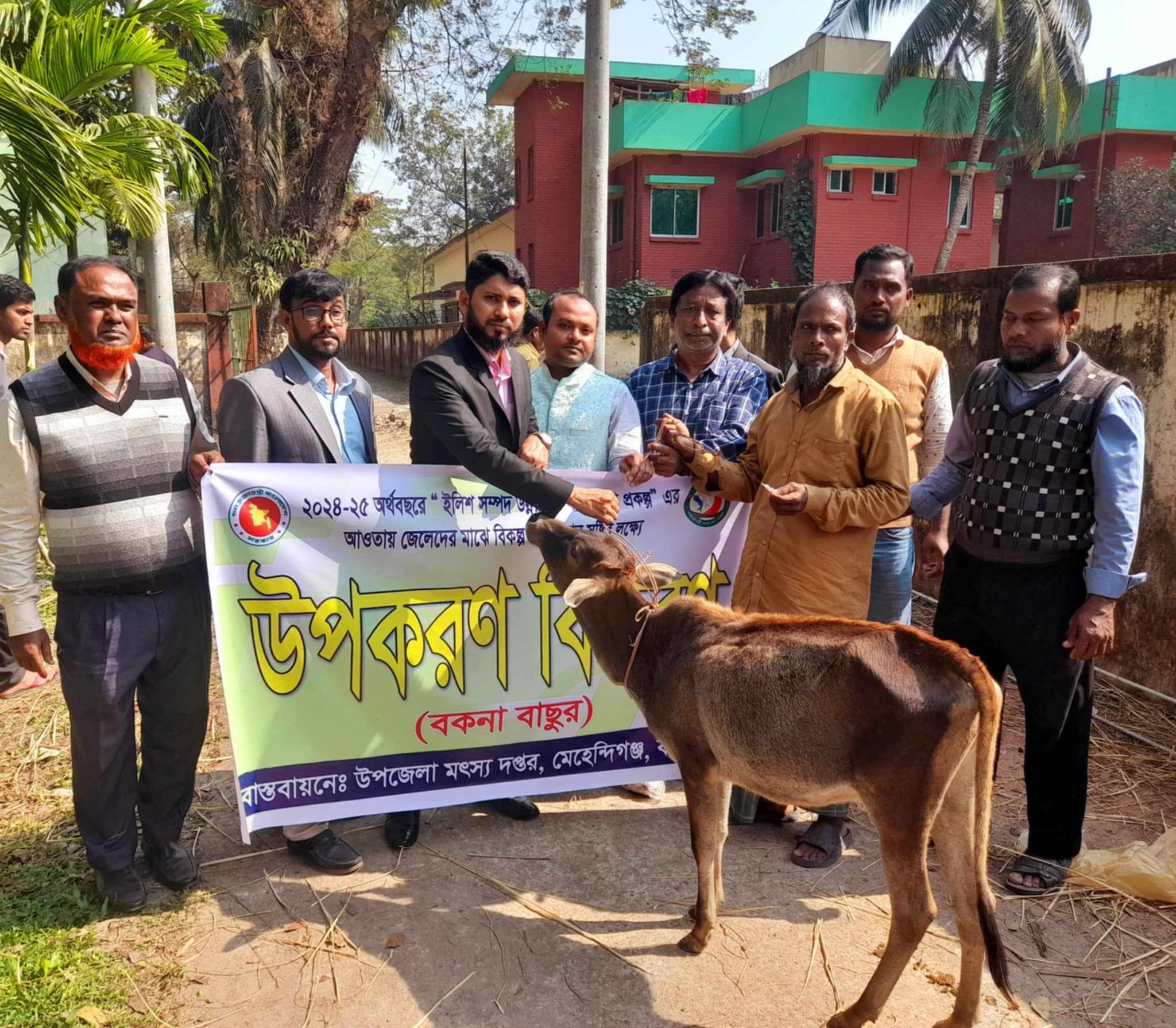 মেহেন্দিগঞ্জে ৯১ জন জেলের মাঝে বকনা বাছুর বিতরণ।