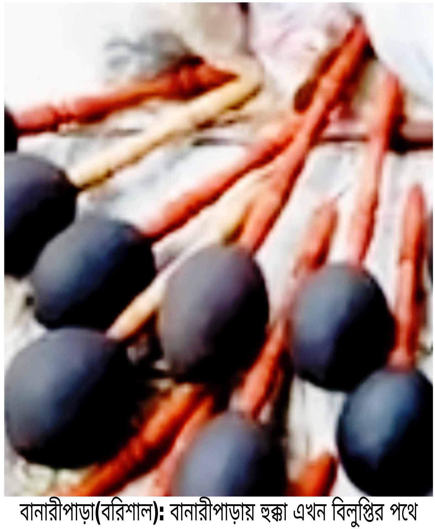 বানারীপাড়ায় হুক্কা পড়ে না এখন চোখে