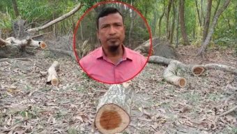 বরগুনার তালতলীতে সংরক্ষিত বনাঞ্চল থেকে প্রকাশ্যে গাছ কাটার ৪০ দিনেও ব্যবস্থা নেয়নি বন বিভাগ