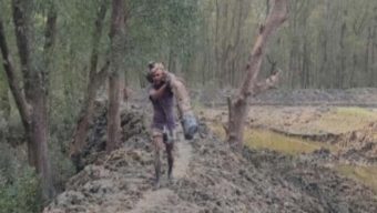 রাঙ্গাবালীতে রাতের আধারে একের পর এক কাটা পড়ছে গাছ