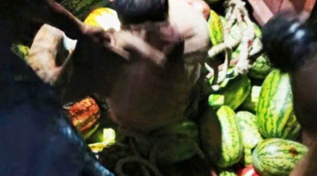 গভীর রাতে তরমুজ বোঝাই ট্রলারে ডাকাতদলের হামলায় আহত ৮, এক ডাকাত সদস্য গ্রেপ্তার
