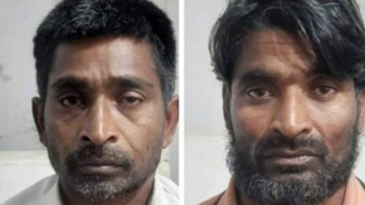 রাঙ্গাবালীতে তিনটি গরুসহ চোর সদস্যের ২জন আটক
