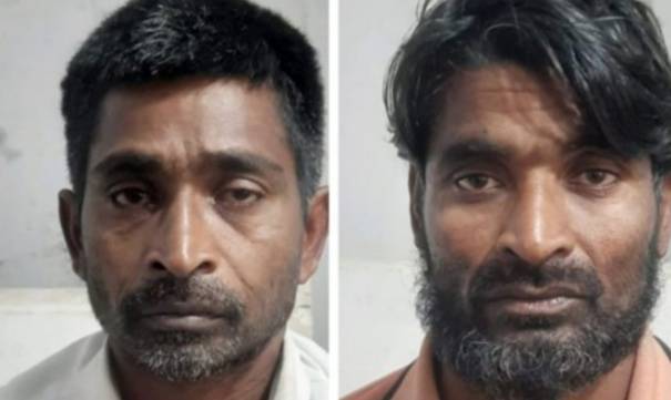 রাঙ্গাবালীতে তিনটি গরুসহ চোর সদস্যের ২জন আটক