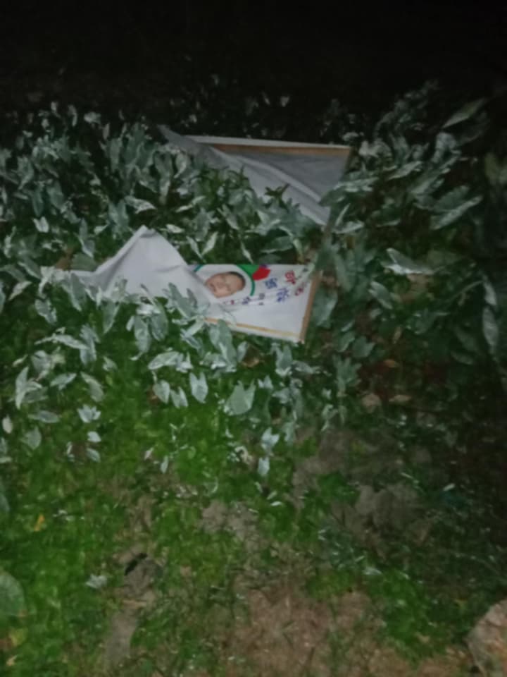 ভোলায় রাতের আধারে খালেদা জিয়া,তারেক রহমানের ব্যানার-ফেস্টুন ভাঙচুরের অভিযোগ