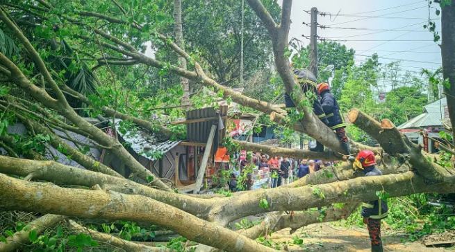 রংপুরে কালবৈশাখী ঝড়ে বেশকিছু গ্রাম লন্ডভন্ড মৌসুমি ফলের ব্যাপক ক্ষতি
