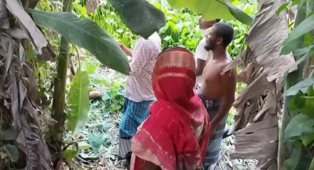 গোপালগঞ্জে অজ্ঞাত ব্যক্তির মরদেহ উদ্ধার