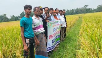 গোপালগঞ্জে ব্রি ধান-১০৭ এর ফসল কর্তন উৎসব মাঠ দিবস অনুষ্ঠিত
