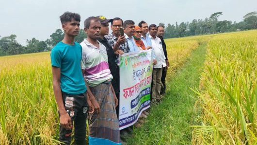 গোপালগঞ্জে ব্রি ধান-১০৭ এর ফসল কর্তন উৎসব মাঠ দিবস অনুষ্ঠিত