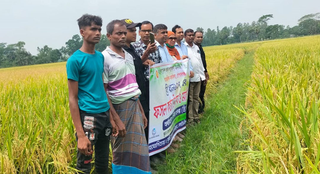 গোপালগঞ্জে ব্রি ধান-১০৭ এর ফসল কর্তন উৎসব মাঠ দিবস অনুষ্ঠিত