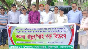 টুঙ্গিপাড়ায় জেলেদের বিকল্প কর্মসংস্থান সৃষ্টিতে বকনা বাছুর বিতরন