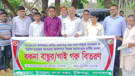 টুঙ্গিপাড়ায় জেলেদের বিকল্প কর্মসংস্থান সৃষ্টিতে বকনা বাছুর বিতরন