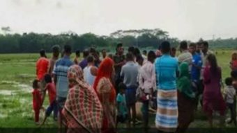 গলাচিপায় বজ্রপাতে ৫ গরুর মৃত্যু