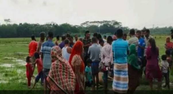 গলাচিপায় বজ্রপাতে ৫ গরুর মৃত্যু