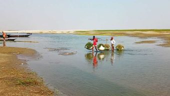 ভারতের এক তরফা পানি প্রত্যাহারে অস্তিত্ব সংকটে কুড়িগ্রামের ১৬ নদ-নদী