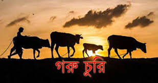 ইন্দুরকানীতে ৩ পরিবারের ৬টি গরু চুরি; ছয় লক্ষ টাকার ক্ষতি