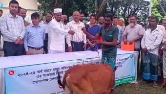গোপালগঞ্জ সদর উপজেলায় ৭৫ জন জেলের মাঝে বকনা বাছুর বিতরণ