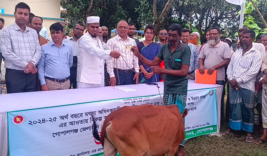 গোপালগঞ্জ সদর উপজেলায় ৭৫ জন জেলের মাঝে বকনা বাছুর বিতরণ