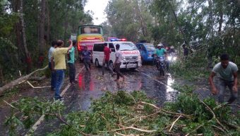 ৫ মিনিটের কালবৈশাখি ঝড়ে ১ ঘন্টা ঢাকা-খুলনা মহাসড়কে যান চলাচল বন্ধ