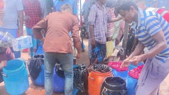 ইন্দুরকানীতে যৌথ অভিযানে গলদা রেনু পোনা জব্দ