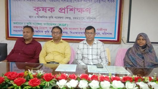 বরিশালে নারিকেলের সাদামাছি দমন বিষয়ক কৃষক প্রশিক্ষণ অনুষ্ঠিত
