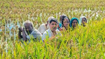 কুড়িগ্রামে রৌমারী সীমান্তে পুশইন উত্তেজনা ফাঁকাগুলি ও সাউন্ড গ্রেনেড