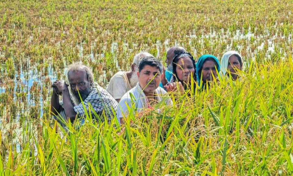 কুড়িগ্রামে রৌমারী সীমান্তে পুশইন উত্তেজনা ফাঁকাগুলি ও সাউন্ড গ্রেনেড