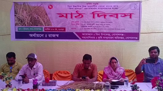 গোপালগঞ্জে “বিনাধান-২৫ চাষাবাদ সম্প্রসারণের লক্ষ্যে মাঠ দিবস অনুষ্ঠিত
