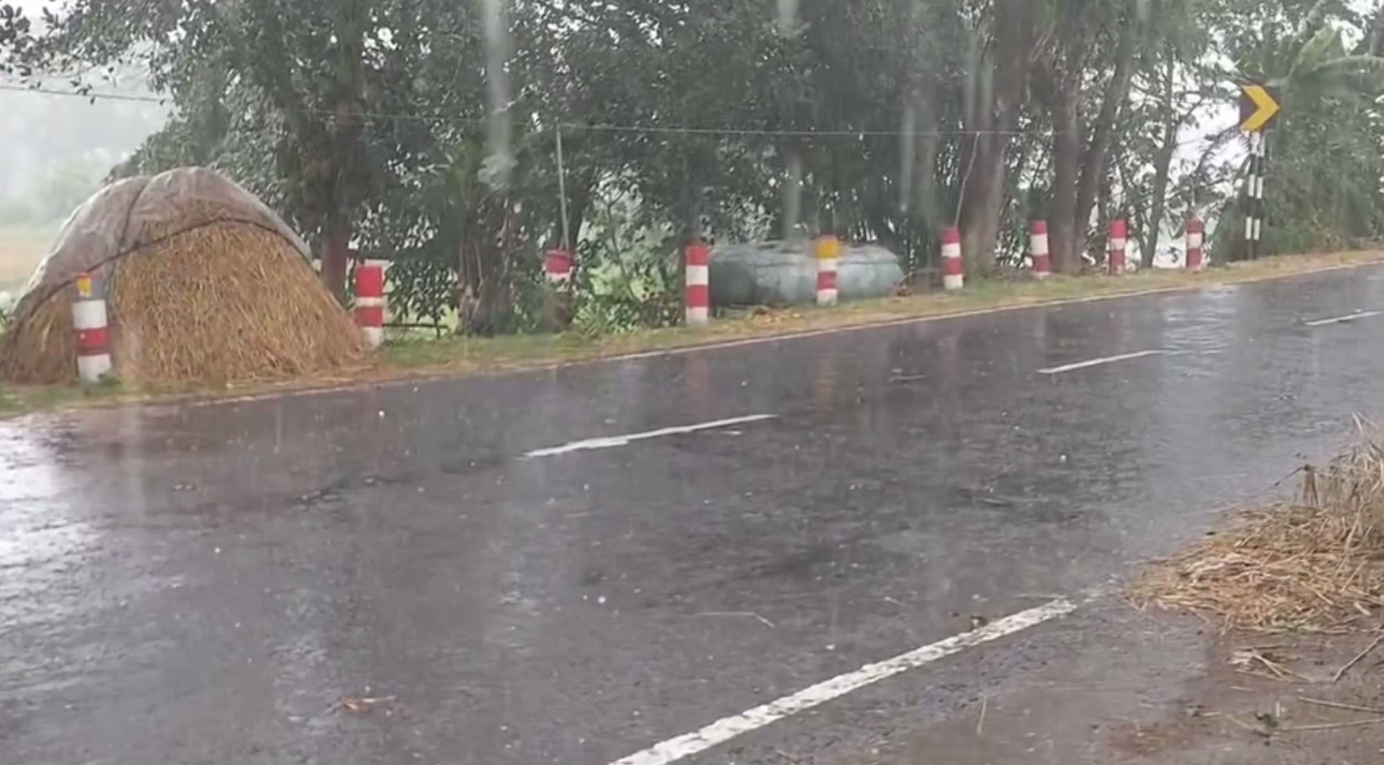 গোপালগঞ্জে শিলা বৃষ্টি, বোরো ধানসহ ফসলের ক্ষতির আশংকা