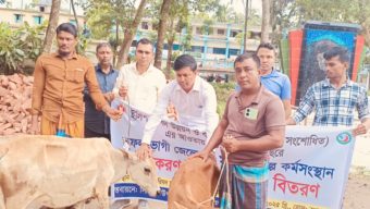 বোরহানউদ্দিনে বিকল্প কর্মসংস্থান তৈরির লক্ষ্যে ১৬ জেলের মাঝে বকনা বাছুর বিতরণ