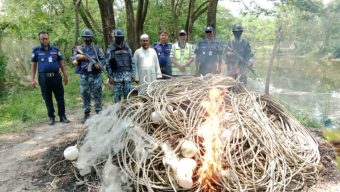 ভোলায় অবৈধ চিংড়ির রেনু ও পাঙ্গাসের পোনা জব্দ,আটক ১