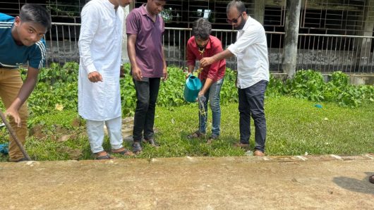 বিশ্ব পরিবেশ দিবস উপলক্ষে বাউফলে ছাত্রদলের বৃক্ষরোপণ কর্মসূচি অনুষ্ঠিত