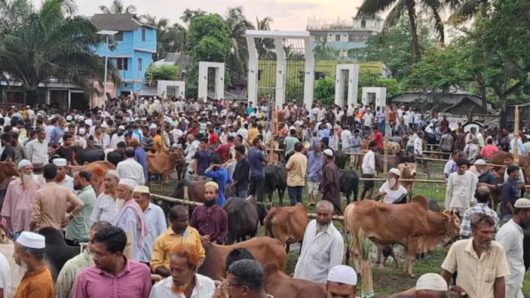 বরগুনায় কেন্দ্রীয় শহীদ মিনার প্রাঙ্গ‌নে বসেছে গরুর হাট