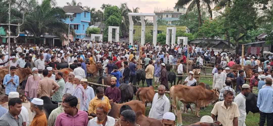 বরগুনায় কেন্দ্রীয় শহীদ মিনার প্রাঙ্গ‌নে বসেছে গরুর হাট