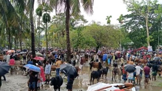 গলাচিপায় শেষ মুহূর্তে জমজমাট কোরবানির হাট, বৃষ্টিতে বেচাকেনা কম