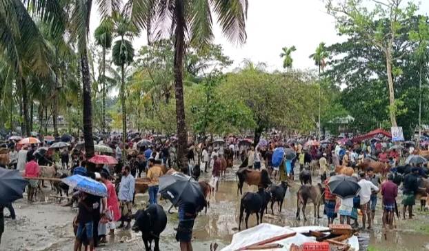 গলাচিপায় শেষ মুহূর্তে জমজমাট কোরবানির হাট, বৃষ্টিতে বেচাকেনা কম