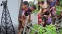 নিখোঁজের ১৭ ঘণ্টা মোবাইল টাওয়ারের চূড়া থেকে কিশোরী উদ্ধার